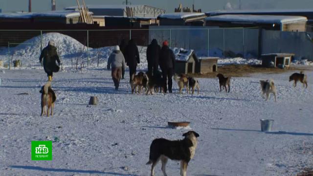 ���������� � ��������� ������� ������������ ������� ��������� ��������.��������, �����������, ��������, ������ ��� ��������, ������, ������������� �������, ���������, �����, ������.���.Ru: �������, �����, ��������� ���������� ���