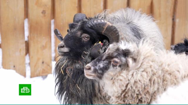 ������� ���������� ������ ������ ��������� �&nbsp;���������� ��������.����, ������, ��������, ��������.���.Ru: �������, �����, ��������� ���������� ���