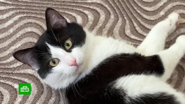 ��������� ����������� ����� ���� �&nbsp;����� �&nbsp;��������� �� �����.����������� �������, ��������, ����������������, �����, ����������, ��������, ������.���.Ru: �������, �����, ��������� ���������� ���