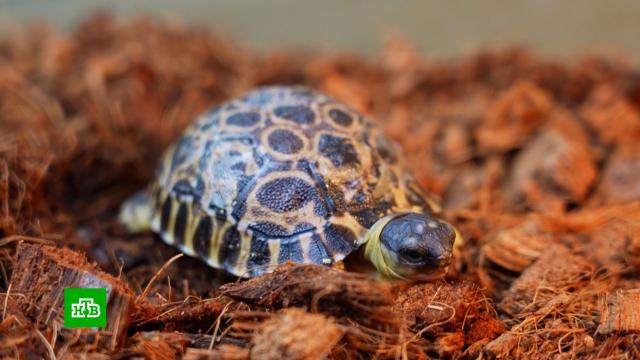 �&nbsp;���������� �������� �������� ��� �������� �������� ��������.������, ��������, ��������.���.Ru: �������, �����, ��������� ���������� ���