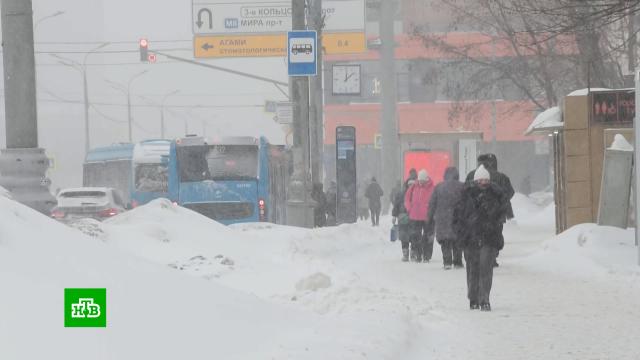 ���� ������ �������: �������� ������� ������������� � ������� ������� ������.������, ������, �������� ��������, ����, ��������.���.Ru: �������, �����, ��������� ���������� ���