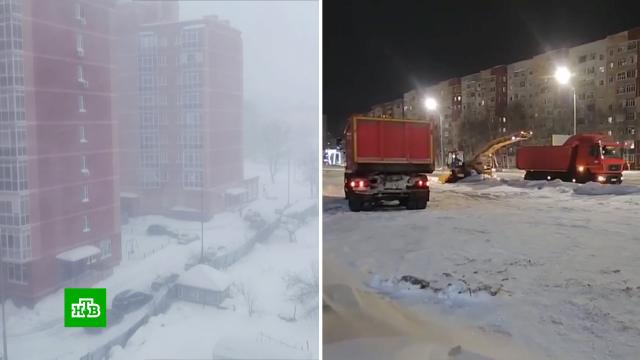 ��������� ���������� �������� ������� � ������������� ���������� ����������.����, �������� �������, ����/����, ����, ��������, �������� ��������.���.Ru: �������, �����, ��������� ���������� ���