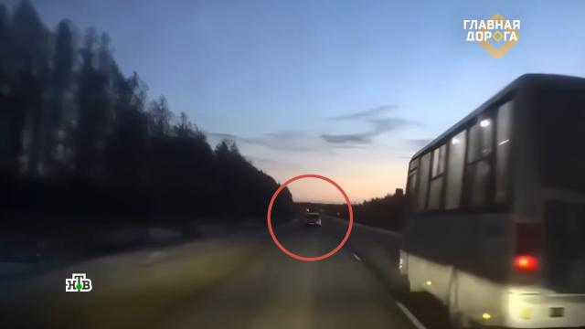 ��� �&nbsp;�������-���������: �&nbsp;��� ������� ��������� �������� ������������.���, �������, �������������.���.Ru: �������, �����, ��������� ���������� ���