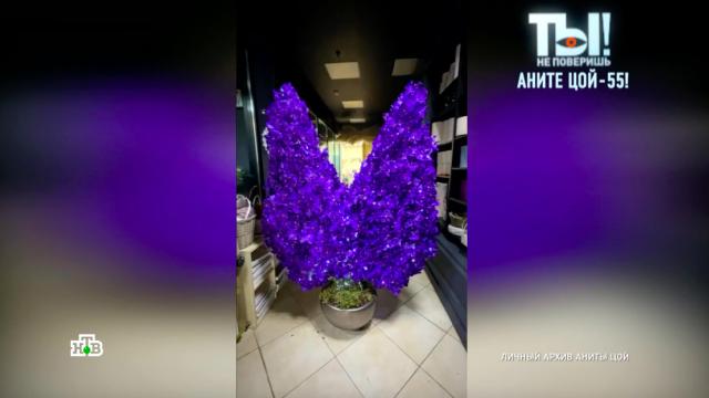 ��� ����� ��� ������� �� ������ �� ����� ������� �� �����������.���, ���-������.���.Ru: �������, �����, ��������� ���������� ���