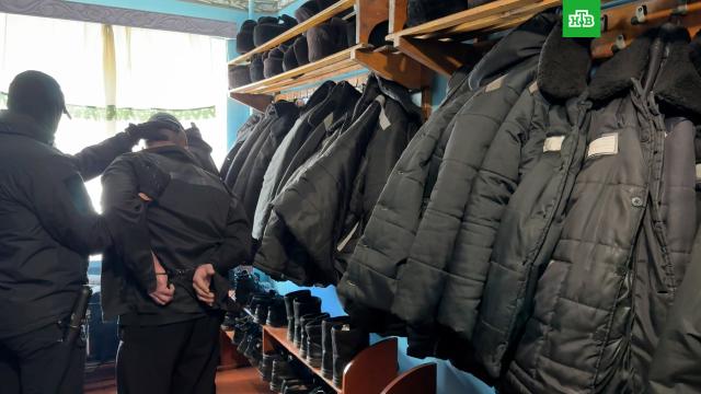 ������ ����������� ������� �&nbsp;�������������� ������� �&nbsp;����������.������������� ����, ���, ����������, ���������, ������ � �������, �������������.���.Ru: �������, �����, ��������� ���������� ���