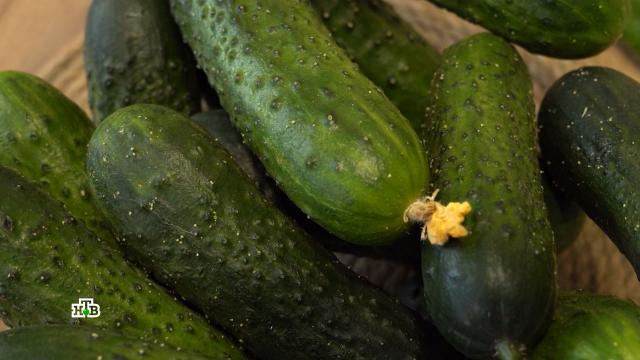 &laquo;��� ����� ������&raquo;: ������ ���� ������ ������� ����� ��� �� ������ �&nbsp;������.���, ��������, �������� ���������, ������ � ����, ��������� � ������.���.Ru: �������, �����, ��������� ���������� ���