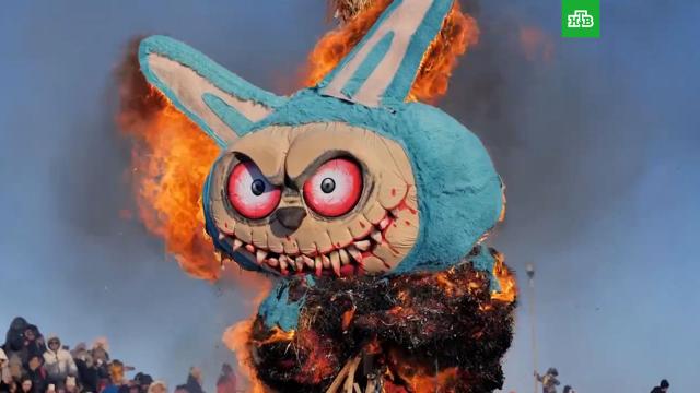 ���������� ���� ������ ������ �� ��������� �&nbsp;�������� �������.�������� �������, ���������, �������� � ������.���.Ru: �������, �����, ��������� ���������� ���