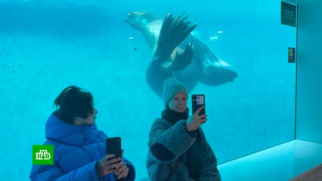 �&nbsp;������ ������� ����� 300&nbsp;���������� ��������� �� ��� ����.������, ������ � �����������.���.Ru: �������, �����, ��������� ���������� ���