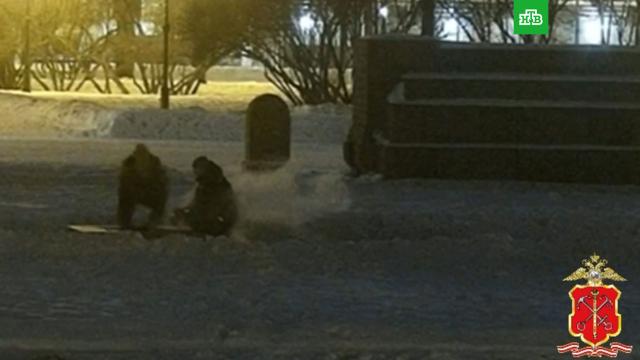 ����������� ������� ������ ����� �� �������� ���� � ����� �� �����.�����-���������, ����������, ���������.���.Ru: �������, �����, ��������� ���������� ���