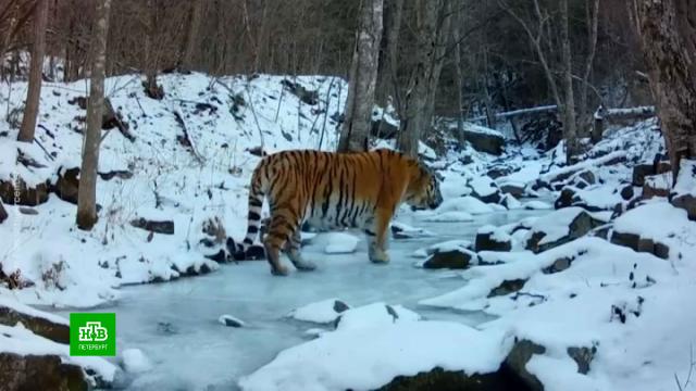 �������������� �������� ������ �������� ������ ��������� �����.��������, �����-���������, ��������, ��������, �����, �����.���.Ru: �������, �����, ��������� ���������� ���