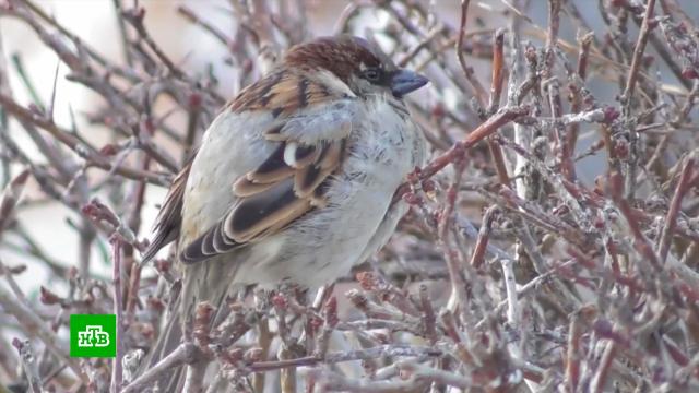 ����������� ��� ��������: ����� �������� �������� ���������� �� �� ��������.�����.���.Ru: �������, �����, ��������� ���������� ���