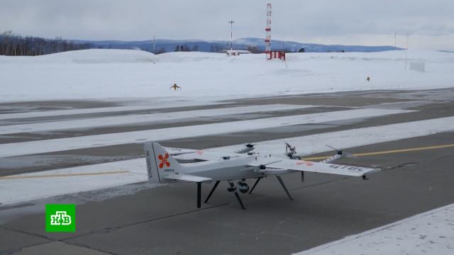 ����� ������� ��� ����������� ������ �&nbsp;2026&nbsp;����: ��� ����� �����.����, �������, ����������������.���.Ru: �������, �����, ��������� ���������� ���