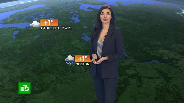 ������� ������ �� 3 �����.������, ������� ������.���.Ru: �������, �����, ��������� ���������� ���