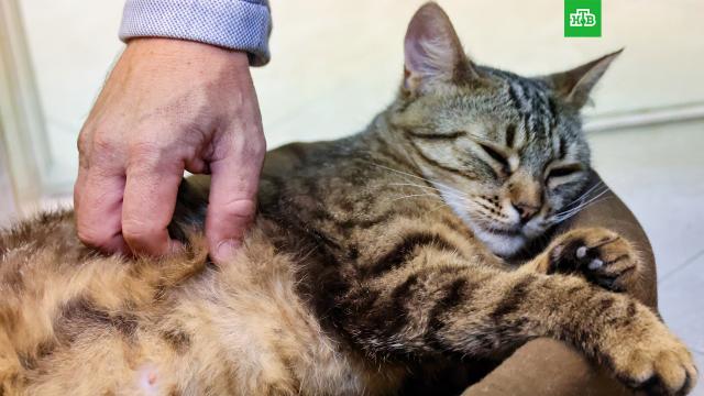 �����: � 2026 ���� ������� ����� ���������� ����� ��������� �� 1 250 ������.� 2026 ���� ����������� ����� ��� ����� �� ������ ����� ������ �� 1 250 ������, � �������-������� � �� 5 000 ������.��������, �����.���.Ru: �������, �����, ��������� ���������� ���