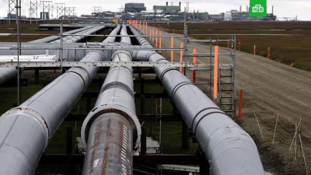 �������� ���� �� ��� � ������ ������� �� 20%.�������� ���� �� ��� � ������ � ������ ������ ������ ����� ������������ � ��������� ���� ������� �� 20%, ����� �� $470 �������� �� ������ ����������.����������� ����, �����, ���.���.Ru: �������, �����, ��������� ���������� ���