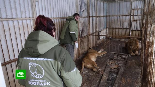 �����, �������� �&nbsp;�������� ������ �� �������� �������� �&nbsp;����� ������.������, ��������, ��������, ����, �������.���.Ru: �������, �����, ��������� ���������� ���