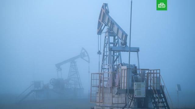 ���� �� ����� ������ ����� ����� �� ��� � ���������� ������.���� �������� �������������� ���������� ��������������������� ����� �������� Saudi Aramco � ���������� ������.����, ���, ����� � ����������� ���������, �����.���.Ru: �������, �����, ��������� ���������� ���