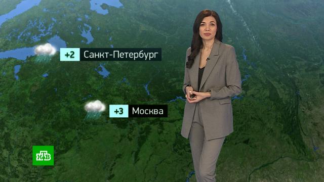 �������� ������� ������ �� 2&nbsp;�����.������, ������� ������.���.Ru: �������, �����, ��������� ���������� ���