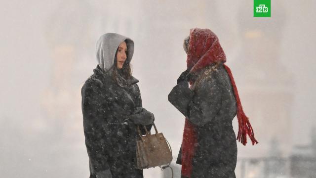 ������ ���� ���: ��������� ��������� ������� ������ �� 8 �����.� ������������ ���������� � ������ � ������ � ������������� ������� ����.8 �����, ������, �����, ������, �������.���.Ru: �������, �����, ��������� ���������� ���