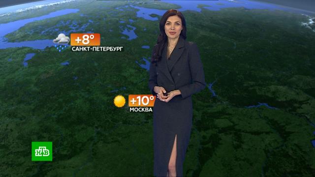 ������� ������ �� 12&nbsp;�����.������, ������� ������.���.Ru: �������, �����, ��������� ���������� ���