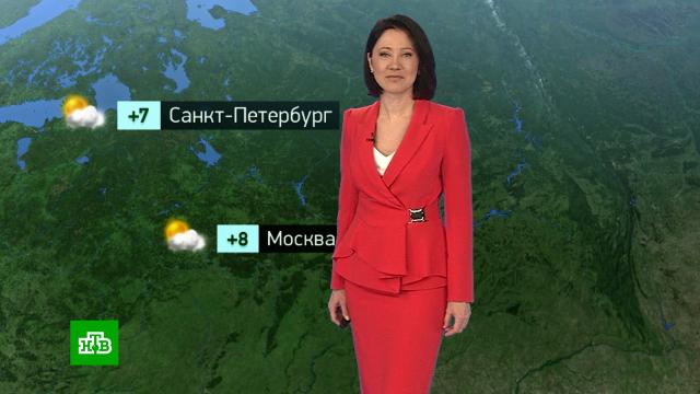 �������� ������� ������ �� 11&nbsp;�����.������, ������� ������.���.Ru: �������, �����, ��������� ���������� ���