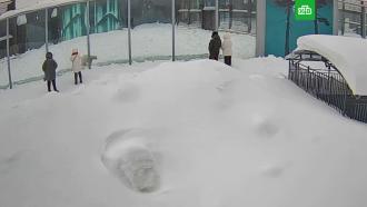 �&nbsp;����� ���������� �������� ��������� ��������� ����� �������� ����������