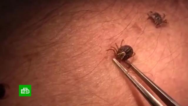 � ������ ���������� ����� ���������� ������.������������� ����, ����, ���������� �������, �����.���.Ru: �������, �����, ��������� ���������� ���