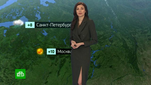 �������� ������� ������ �� 12&nbsp;�����.������, ������� ������.���.Ru: �������, �����, ��������� ���������� ���