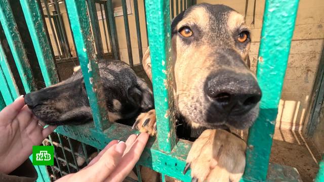 � ������ ������� �������� � ������������ ����� � ����� �� �������.������, ��������, ������ ��� ��������.���.Ru: �������, �����, ��������� ���������� ���