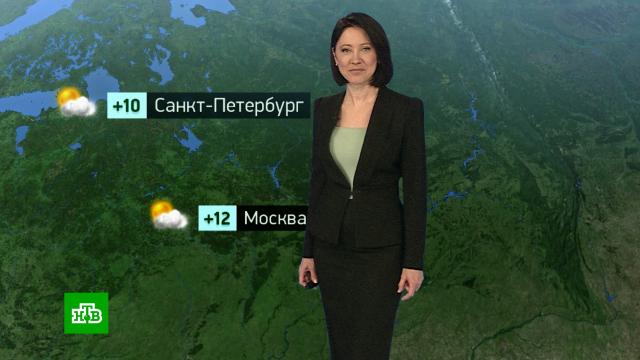 �������� ������� ������ �� 13&nbsp;�����.������, ������� ������.���.Ru: �������, �����, ��������� ���������� ���