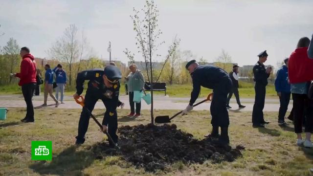 ����� &laquo;��� ������&raquo; �������� ������ ������� ������������� ����� �&nbsp;���.������� ������������� �����, ����, �����������, ���������, ���� � ���������, �������.���.Ru: �������, �����, ��������� ���������� ���