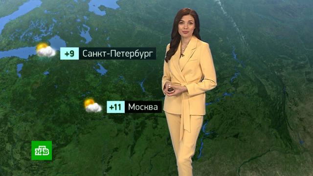 �������� ������� ������ �� 16&nbsp;�����.������, ������� ������.���.Ru: �������, �����, ��������� ���������� ���