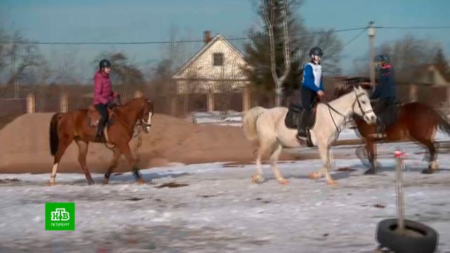 �������� ����� ������� ��� ������������� �����.�����-���������, ���� � ���������, ���� � ������ �����.���.Ru: �������, �����, ��������� ���������� ���