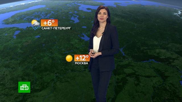 ������� ������ �� 19&nbsp;�����.������, ������� ������.���.Ru: �������, �����, ��������� ���������� ���