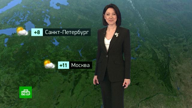 �������� ������� ������ �� 20&nbsp;�����.������, ������� ������.���.Ru: �������, �����, ��������� ���������� ���