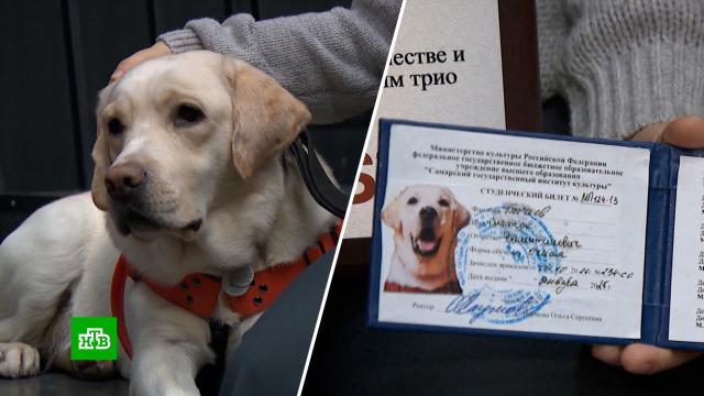 ��������-�������� ���� ��������� ���������� ���� � ����������� � ��������.��������, ������, ����, ��������, ������, ������, �������.���.Ru: �������, �����, ��������� ���������� ���