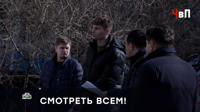 ���������� �������: ���������� ��������� ������������ �&nbsp;�����.��������, ������, ���������� �������, �������, �������������, �������� � ���������.���.Ru: �������, �����, ��������� ���������� ���