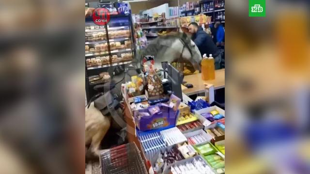 ������� �� ����� ���� ��������� ������� � ����.����, ��������.���.Ru: �������, �����, ��������� ���������� ���