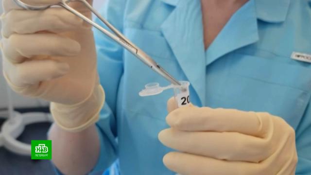 ������������ ������������ � ����������� ������ ������.������������� �������, �����-���������, ����������, �����, ��������, ��������.���.Ru: �������, �����, ��������� ���������� ���