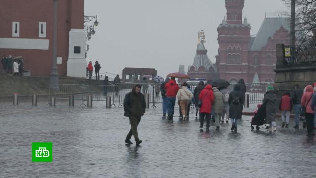 � ���������� ������� ���������� ����� ������.������, ���������� �������, �����, �����, ������, �������� ��������.���.Ru: �������, �����, ��������� ���������� ���