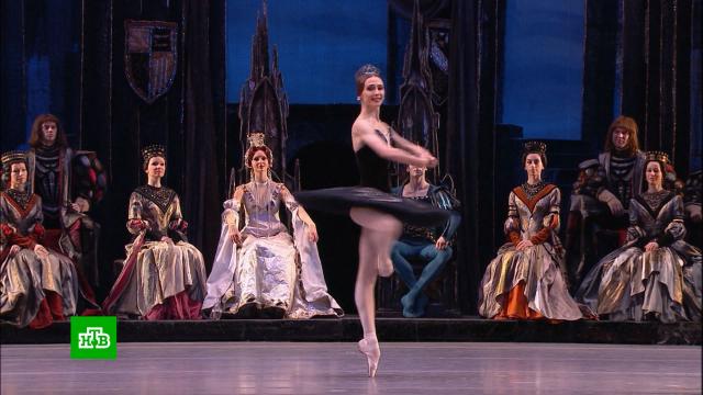 ������ ������� ��������: ������� ����� ��������� � 250-�����.������� �����, ������, ��������, �����, ������.���.Ru: �������, �����, ��������� ���������� ���