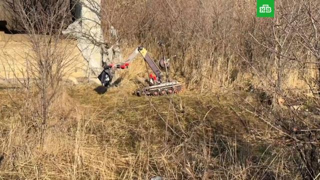 ��� �������� ������ ������� �������� ��������� ������ ������.�������������� ����, ���.���.Ru: �������, �����, ��������� ���������� ���