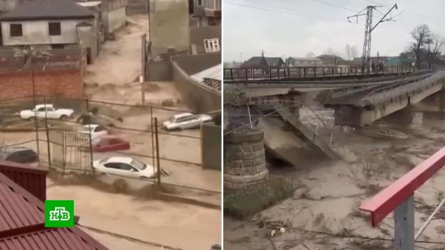 ���� ��� ����� �� ����� �����: �������� ������� ���������� �� 107&nbsp;��� ����������.��������, ���������, �����, ����������.���.Ru: �������, �����, ��������� ���������� ���