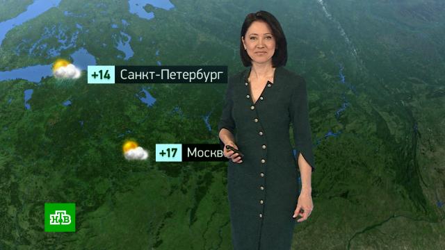 �������� ������� ������ �� 31&nbsp;�����.������, ������� ������.���.Ru: �������, �����, ��������� ���������� ���