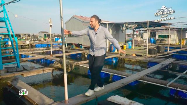 ����������� ��������� ������� �� ��� ��������.�����, ������ � �����������.���.Ru: �������, �����, ��������� ���������� ���