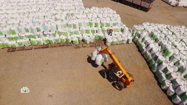 &laquo;������� �����������&raquo;: ����� �� ������� ������� ����� �������� �&nbsp;�������� ������.������� ������, ������, ����, ���, ����� � ����������� ���������, �����, �������� ���������.���.Ru: �������, �����, ��������� ���������� ���