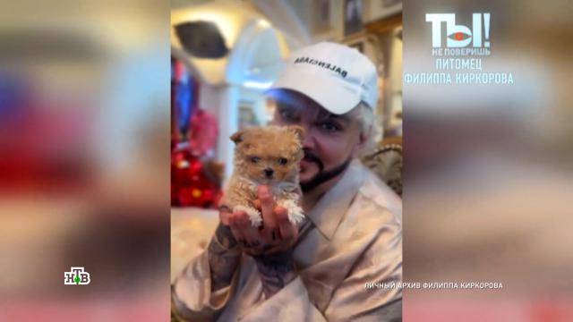 �������� ������� ������ ������ �� 1, 2 ��� ������ ��������� �� Louis Vuitton.������ ��������, ������������, ������ � ���������, ������, ���-������, ���������.���.Ru: �������, �����, ��������� ���������� ���