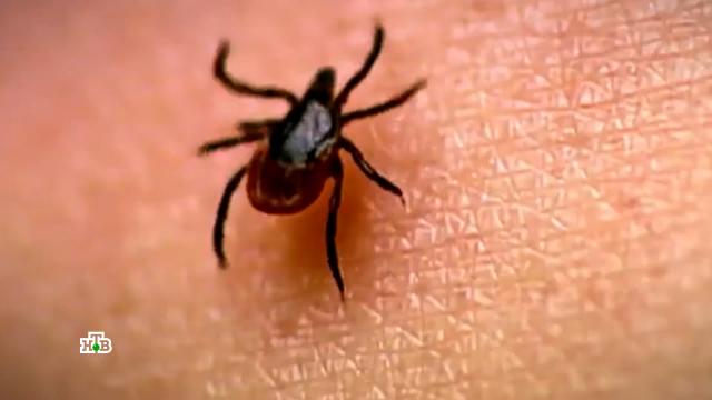 ���������� ���������� �������� �&nbsp;������ ������-�������� �&nbsp;������� �������.�����, ������, ����������, ���������, ������, �������� ��������.���.Ru: �������, �����, ��������� ���������� ���