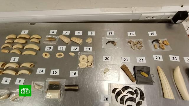 � ������� � ���������� ����� ������� ������, ����� � ������ ������ ��������.�����, �������, �����-���������, ���������, ��������, ����������, �����������.���.Ru: �������, �����, ��������� ���������� ���