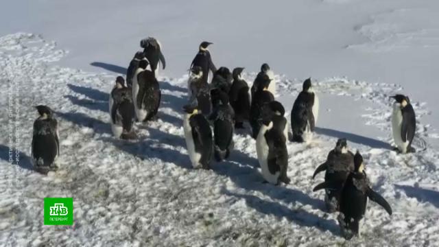 ������������� ������ ������� �������������� �����.����������, �����-���������, ����� � ��������.���.Ru: �������, �����, ��������� ���������� ���